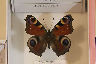 b0159557_13565270.jpg