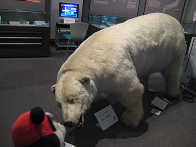 b0159557_13592070.jpg