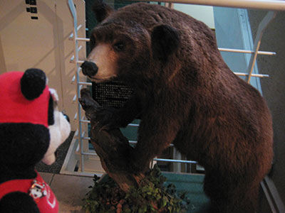 b0159557_13592974.jpg
