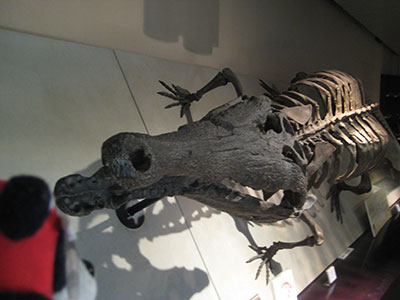 b0159557_1474494.jpg