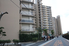 e0175370_1174394.jpg