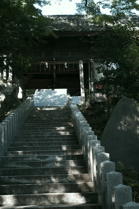 b0340572_20444590.jpg