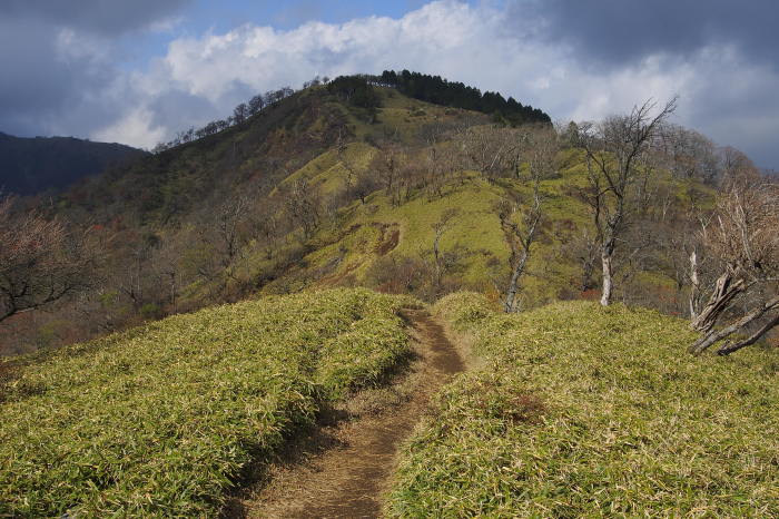 e0307372_23460581.jpg