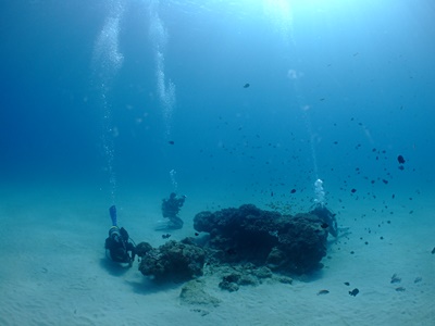 b0033573_20074415.jpg