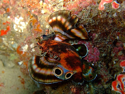 b0033573_20091343.jpg