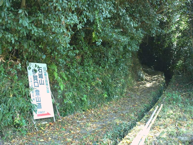 d0061579_9222121.jpg