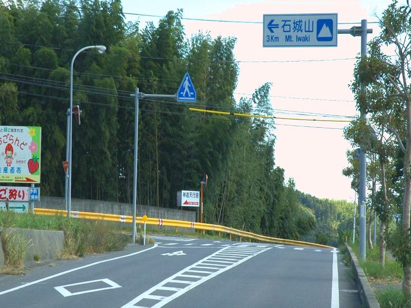 d0061579_9391744.jpg