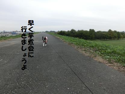 d0256580_1748579.jpg