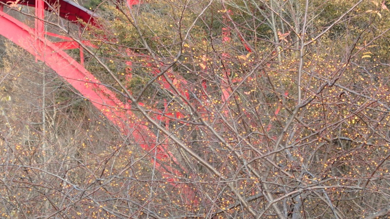 e0024081_08111488.jpg