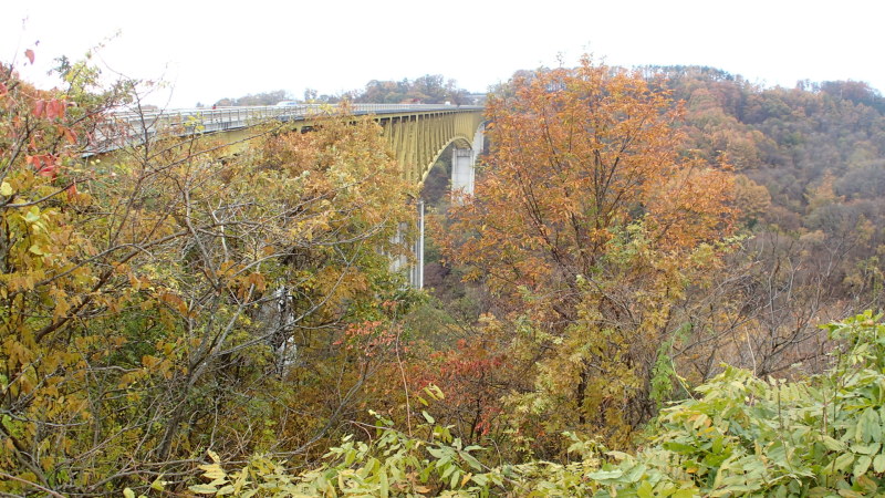 e0024081_08113409.jpg