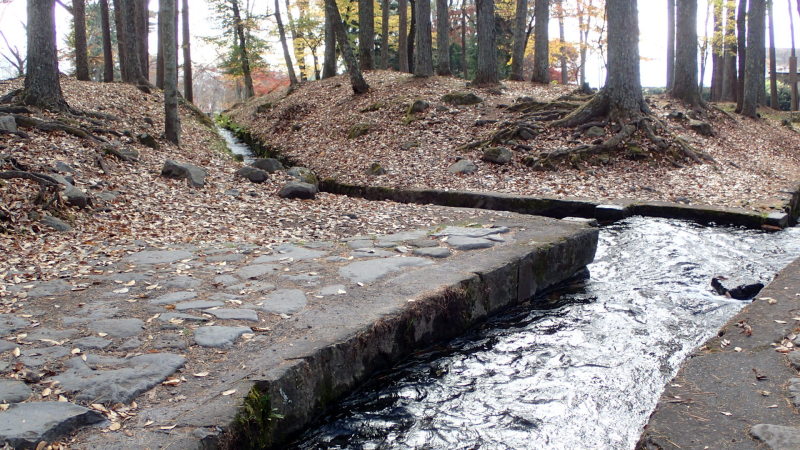 e0024081_08131969.jpg