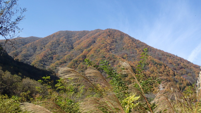 e0024081_08134223.jpg