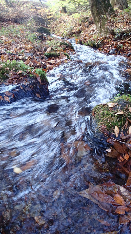 e0024081_08203164.jpg