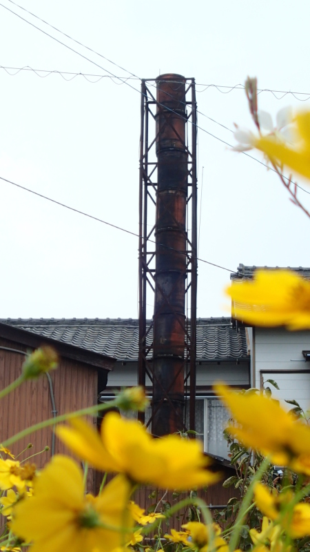 e0024081_08224529.jpg