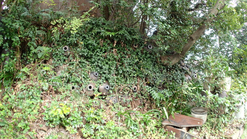 e0024081_08234570.jpg