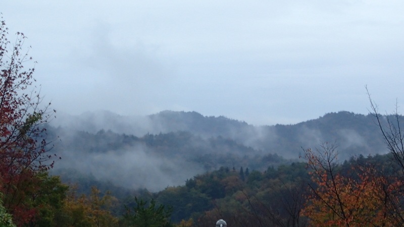 e0024081_08253742.jpg
