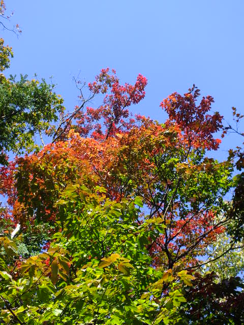 e0145782_12101970.jpg