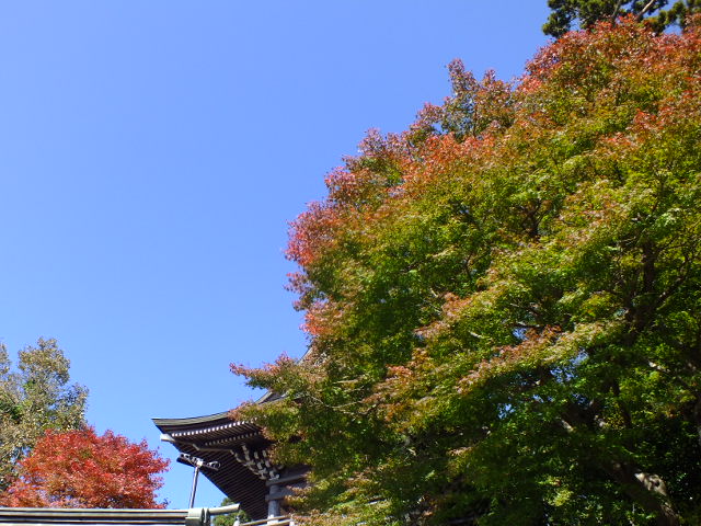 e0145782_12153766.jpg
