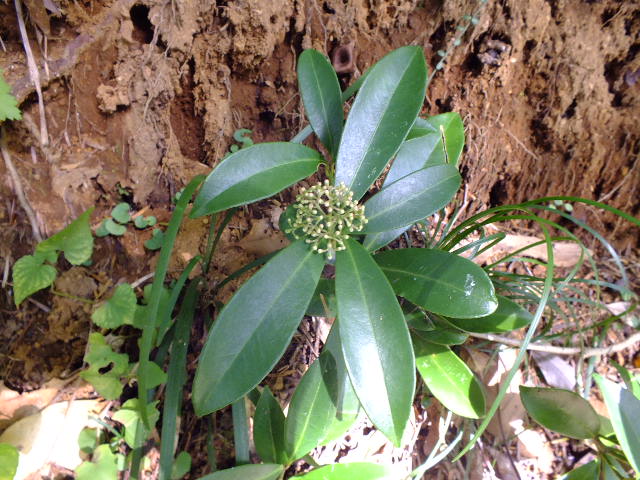 e0145782_12203463.jpg