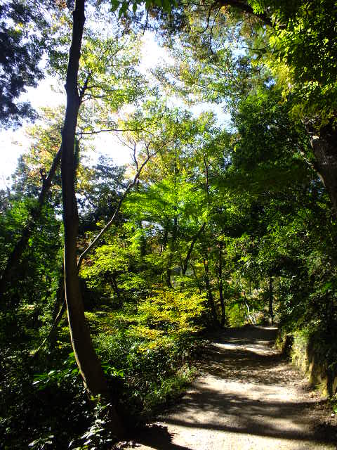 e0145782_12212555.jpg