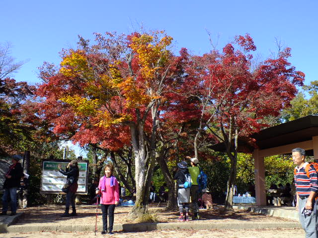 e0145782_1231968.jpg