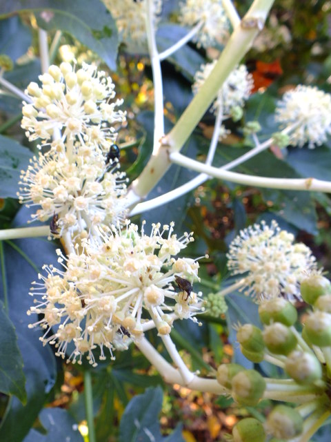 e0145782_1253033.jpg