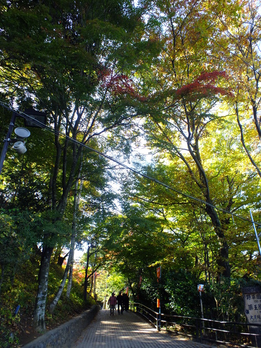 e0145782_1291222.jpg