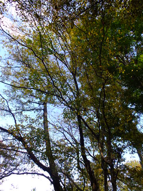 e0145782_13151245.jpg