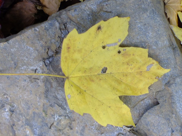 e0145782_1317224.jpg