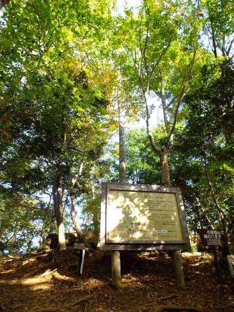 e0145782_1319655.jpg