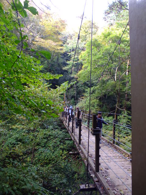 e0145782_13204056.jpg