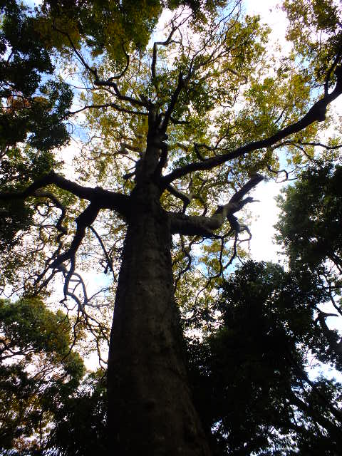 e0145782_132722.jpg
