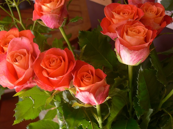 e0140986_1426417.jpg
