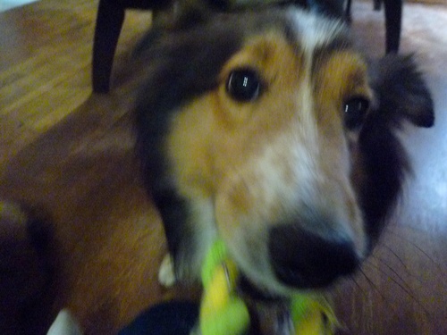 c0123890_21185990.jpg