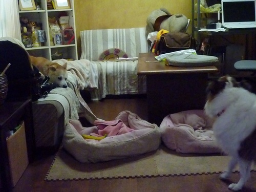 c0123890_21315695.jpg