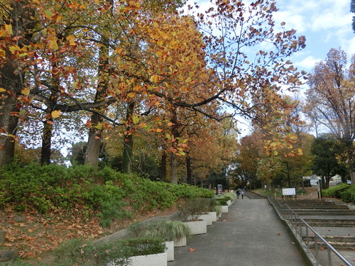a0319693_041734.jpg