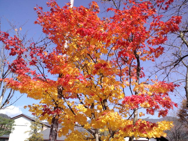 f0042295_13393052.jpg