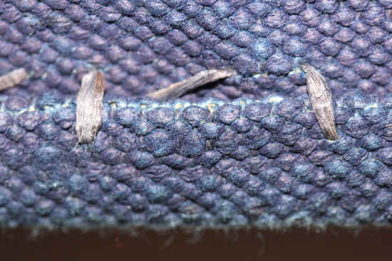 c0325097_1634567.jpg