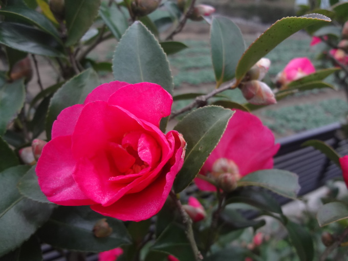e0292102_843087.jpg