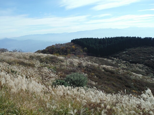 b0326303_12555995.jpg