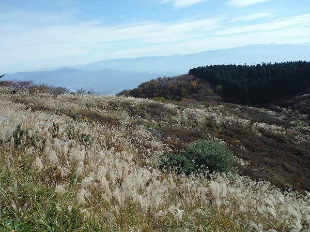 b0326303_12564167.jpg