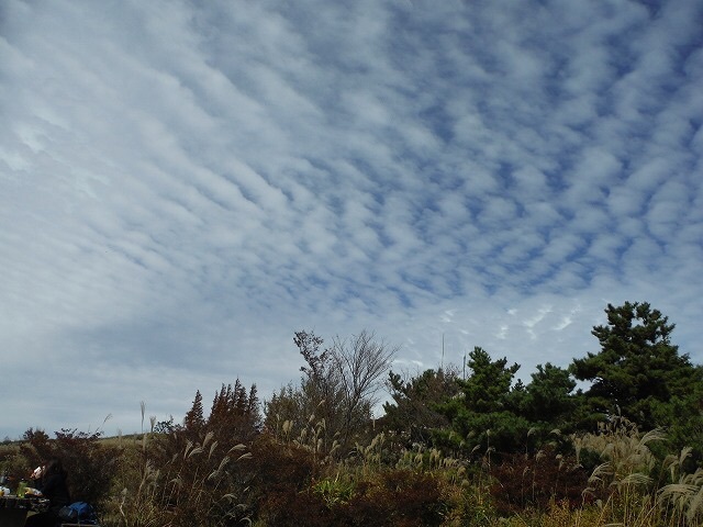 b0326303_12565985.jpg