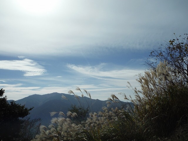 b0326303_12582719.jpg