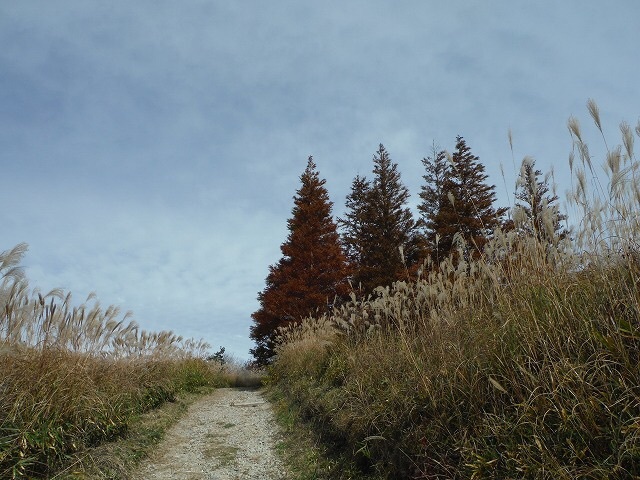 b0326303_12591451.jpg