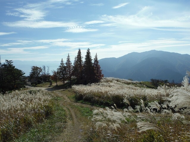 b0326303_13062779.jpg