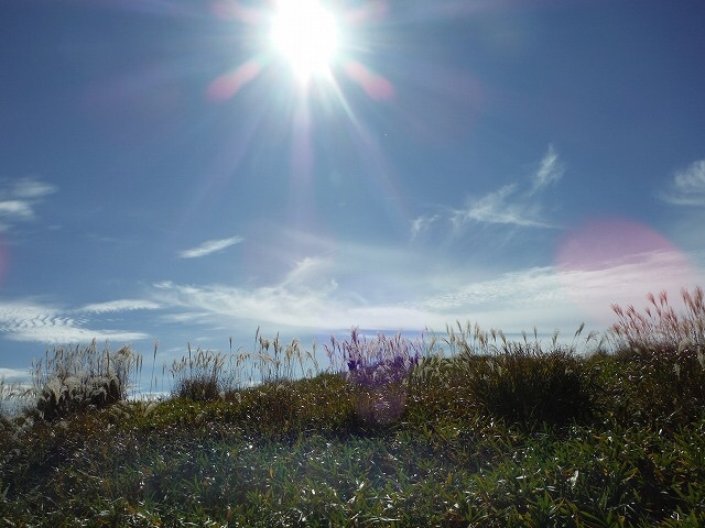 b0326303_13071652.jpg