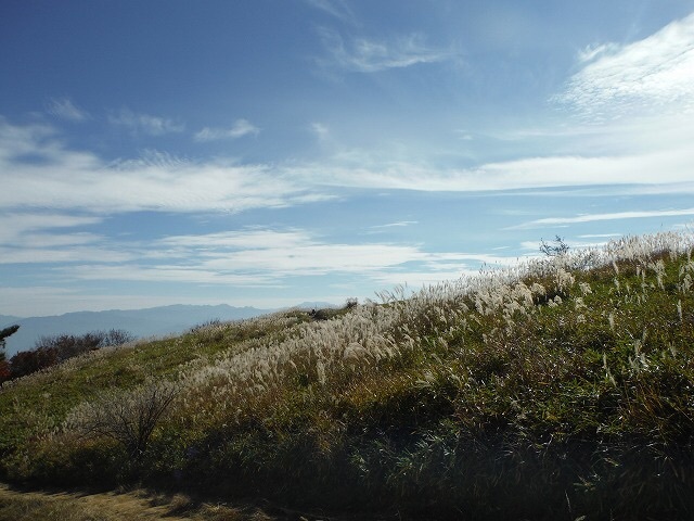 b0326303_13102643.jpg