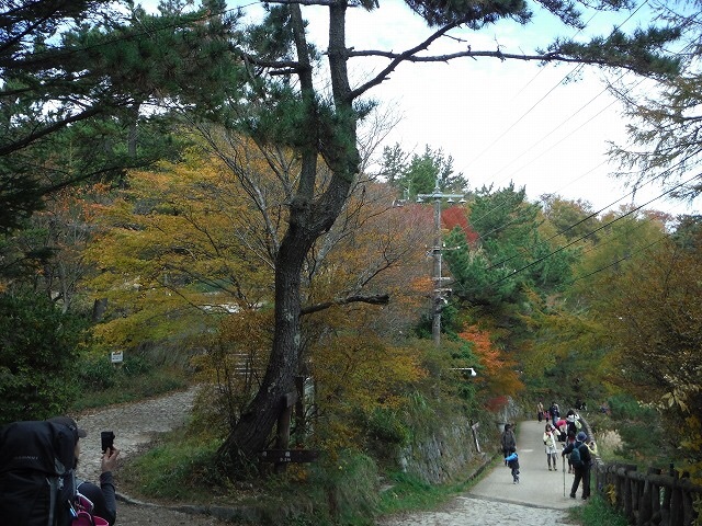 b0326303_13115803.jpg