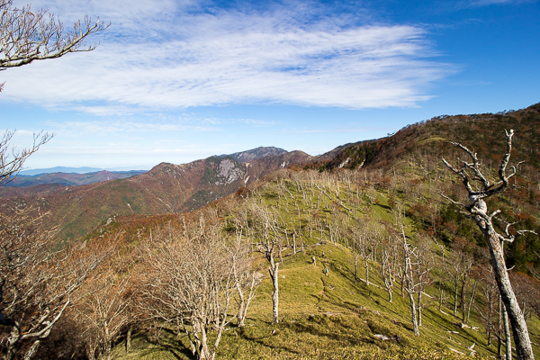 b0244811_222655.jpg