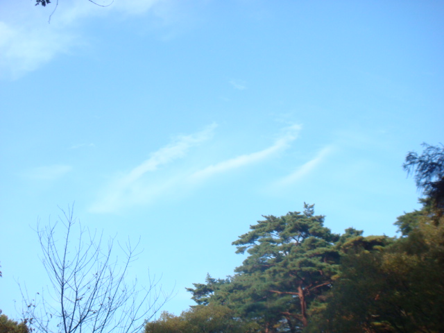 a0019212_933516.jpg